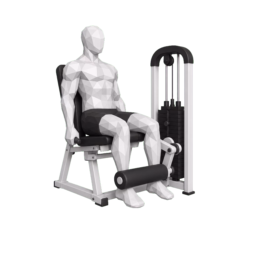 Seated Leg Curl demonstration