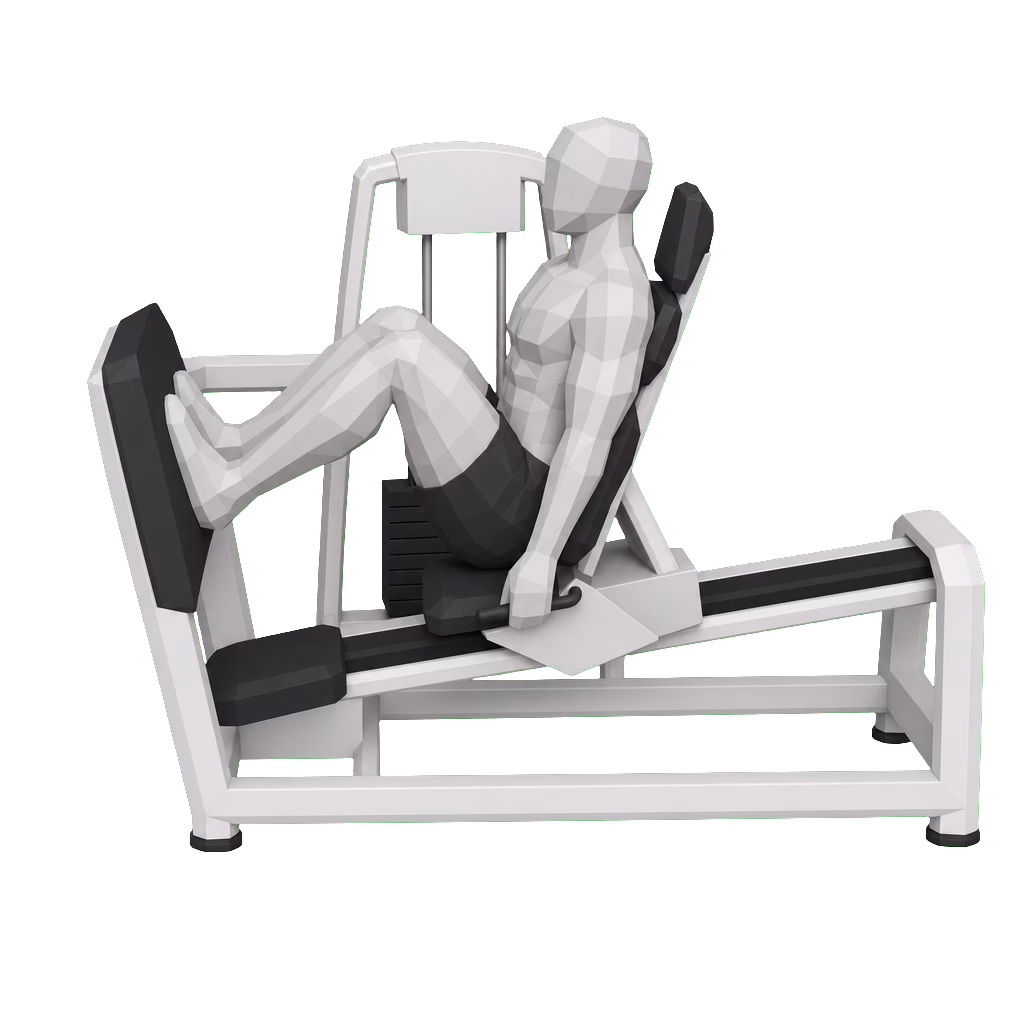Seated Leg Press demonstration