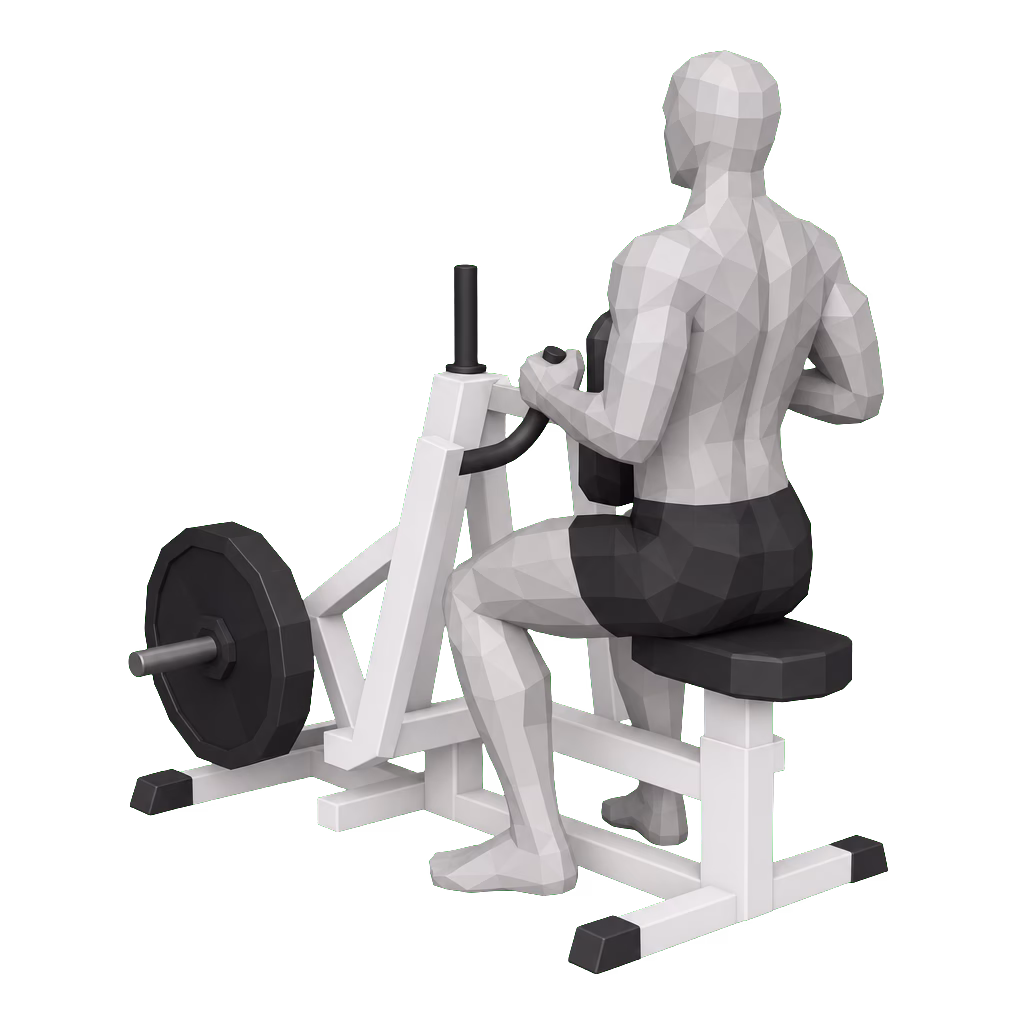 Seated Machine Row demonstration