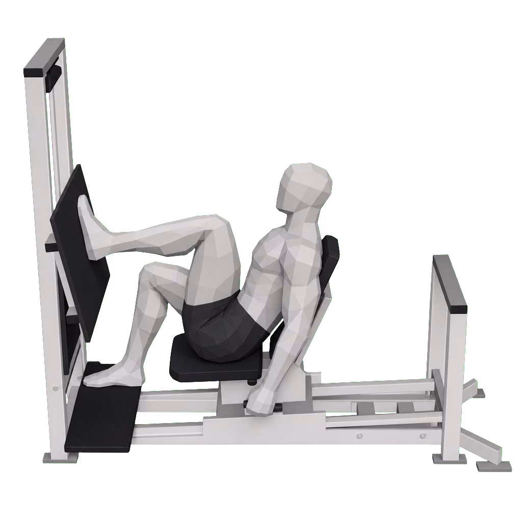 Single-Leg Press demonstration