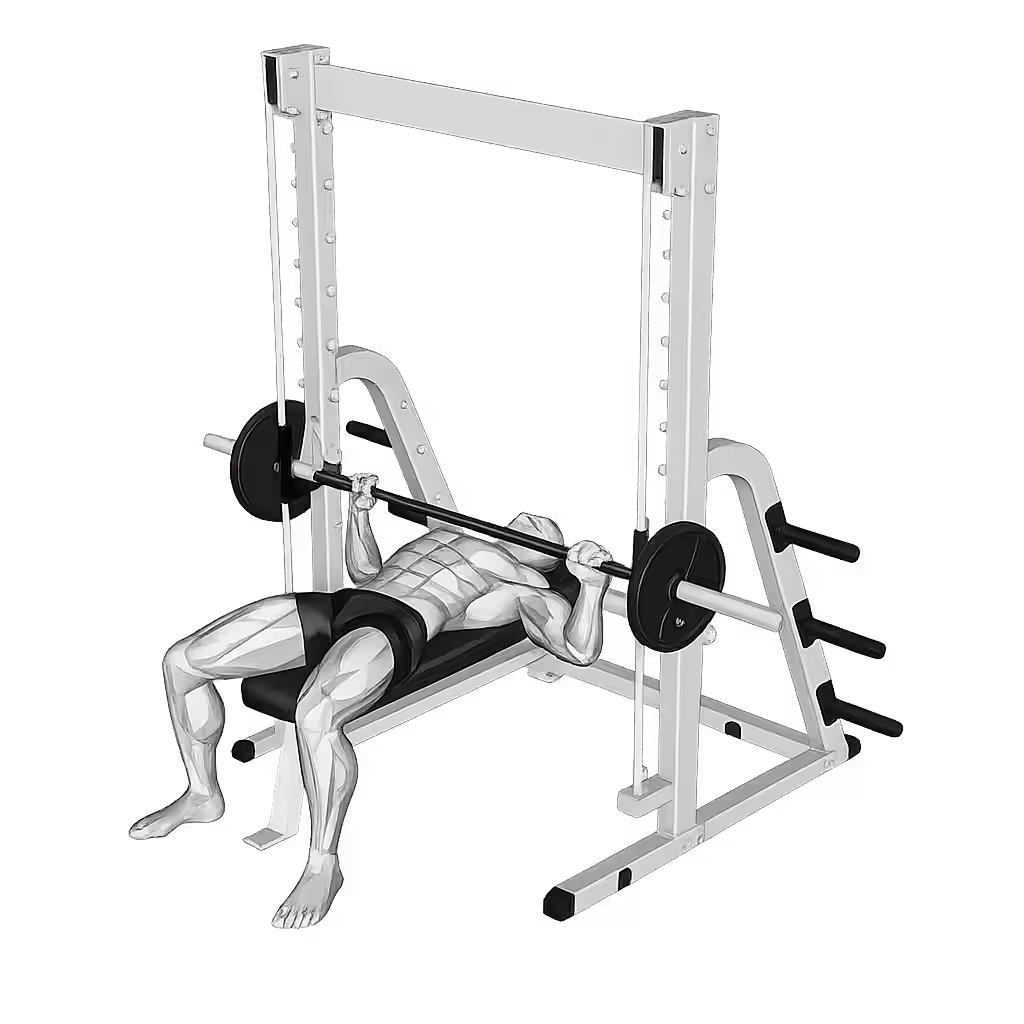 Smith Bench Press demonstration