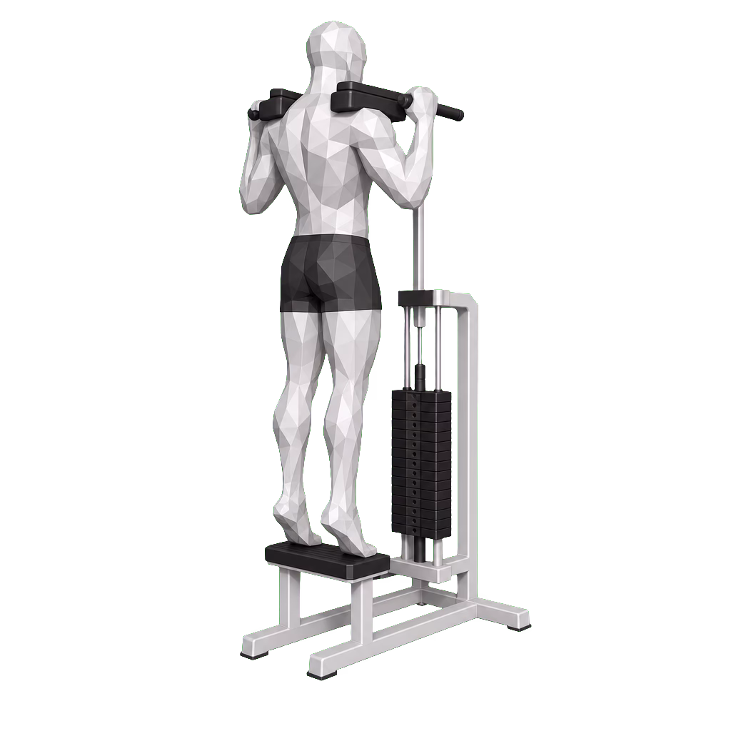 Standing Calf Raise demonstration