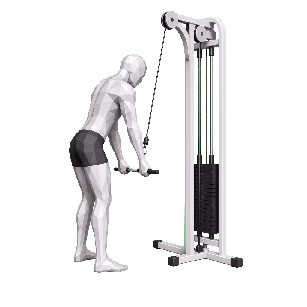 Straight-Arm Pulldown demonstration