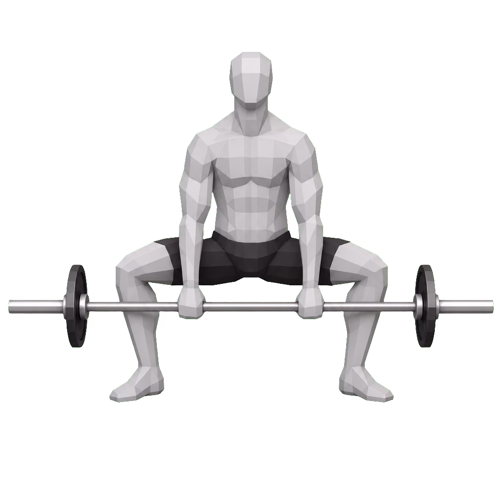 Sumo Deadlift demonstration