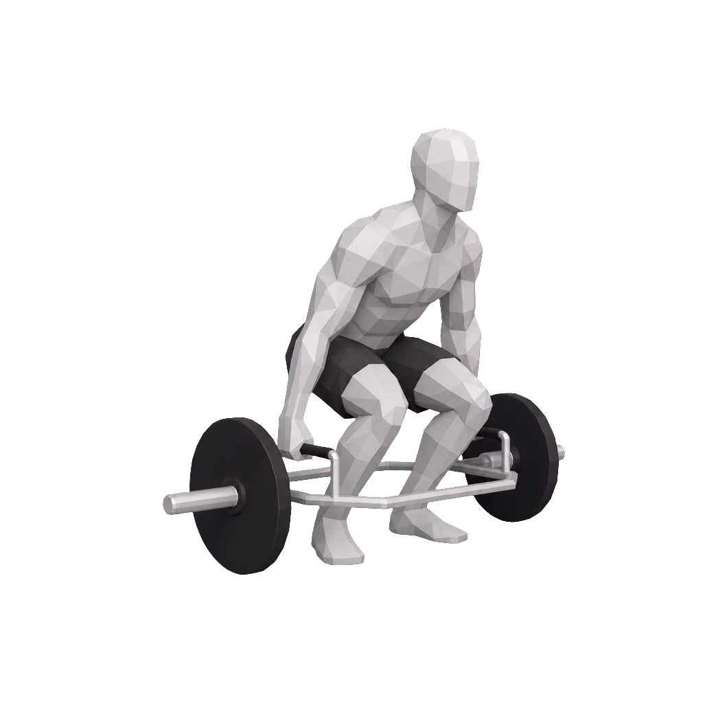 Trap Bar Deadlift demonstration