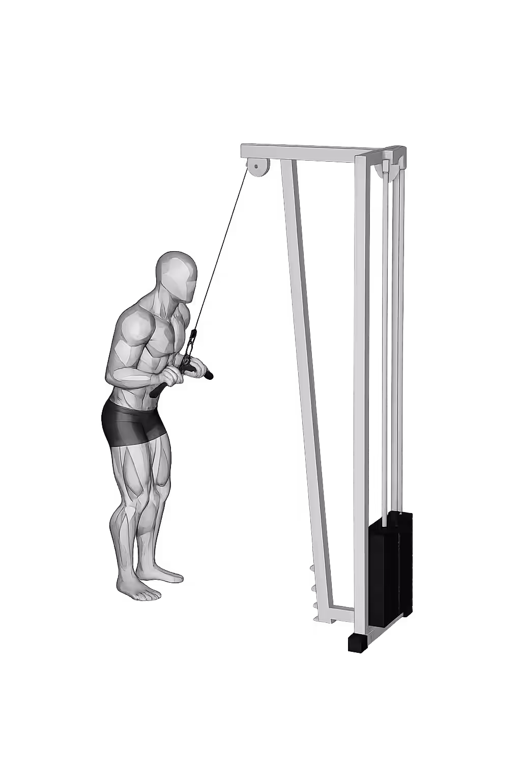 Triceps Pushdown demonstration