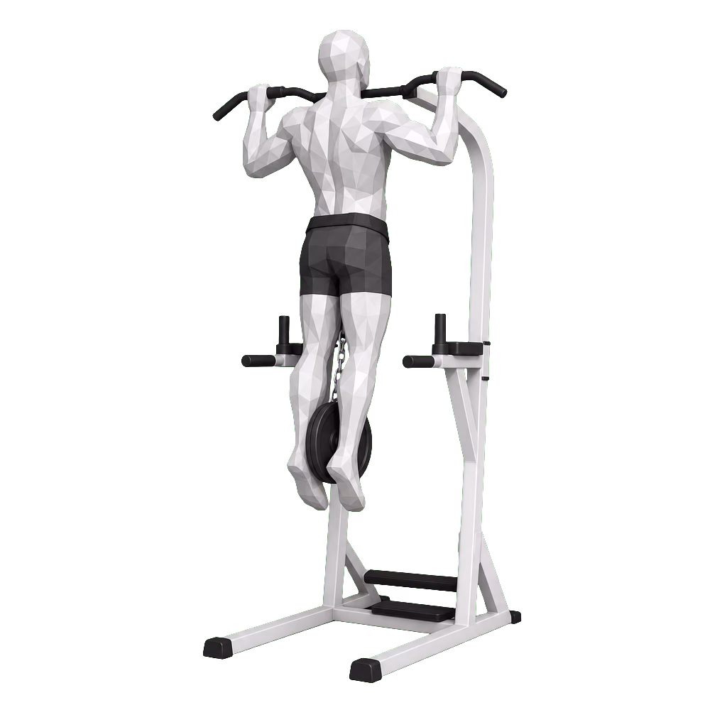 Weighted Pull-Up demonstration